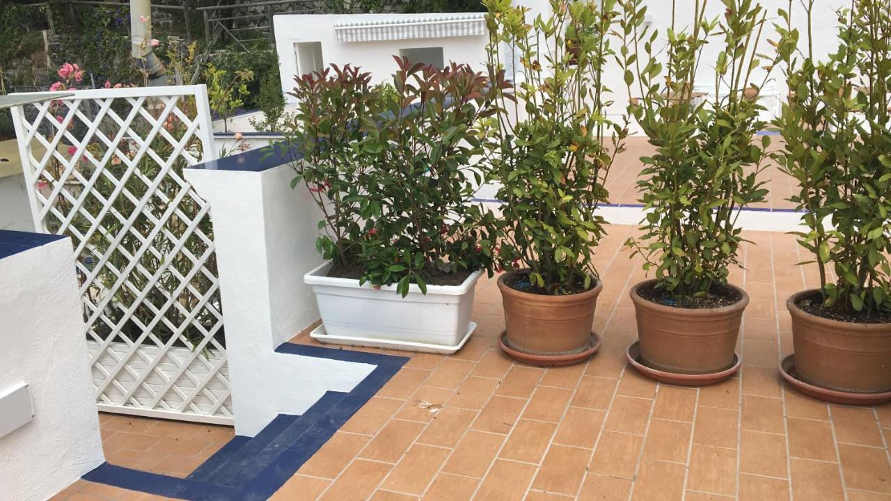 Panorama Da Cartolina Apartment Ischia Exterior foto